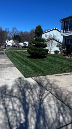 Lawn Care for A Landscaping King in Upper Marlboro , MD