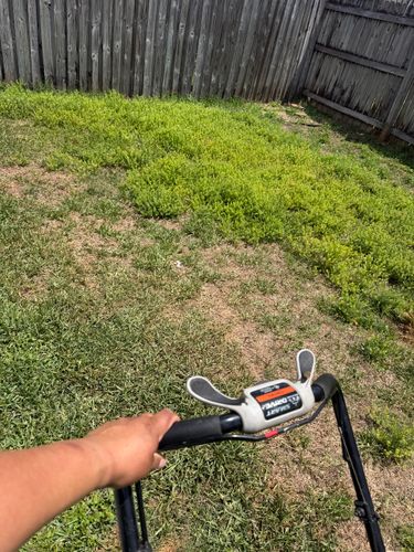 Lawn Maintenance for The Yardman in Tampa, FL