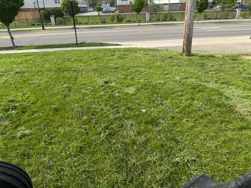  for A1 Bush Hogging & Lawn Service in Columbus, OH