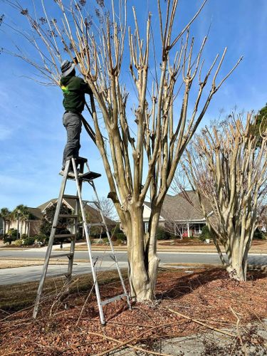 All Photos for New Creation Landscaping in Myrtle Beach, SC