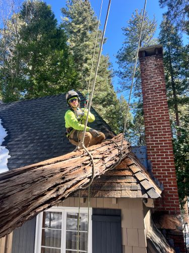  for Poseidon Valley Tree Service Corp in San Bernardino, CA