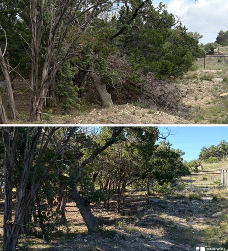 Tree Trimming & Land Clearing for Bad Axe Landscapes LLC in Blanco, TX