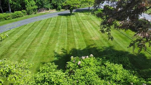 Other Lawn Services for Green Hills Lawn Service in Washington, PA