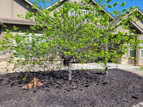  for R&M Lawn Services in Tulsa, OK