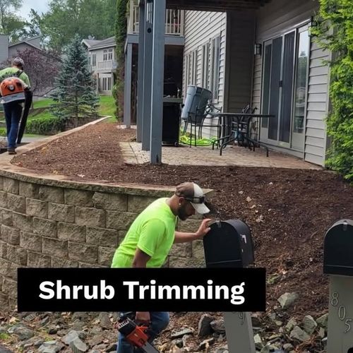 All Photos for AAA Tree Cutting in Shavertown, PA
