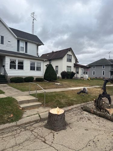 Stump Removal for Fransen's Tree Service  in Freeport, IL