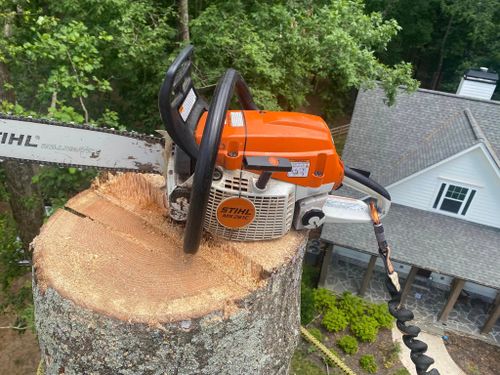 Tree Removal for Pinedown LLC in Cherokee County, GA