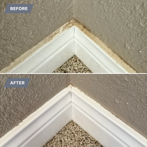 Maintenance Cleaning (Weekly, Biweekly, & Monthly) for A Beautiful Day Cleaning in Rogers, AR