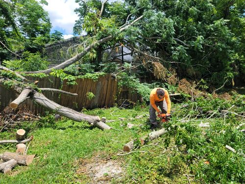 All Photos for Highlife Tree Care And Landscaping in Altamonte Springs, FL