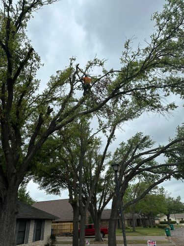 Mowing for Allen Lawn Care in Taylor, Texas