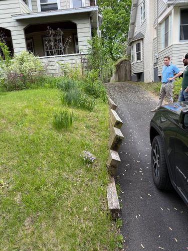 Tree & Shrub Care for Katinas Properties Maintenance in Albany, NY