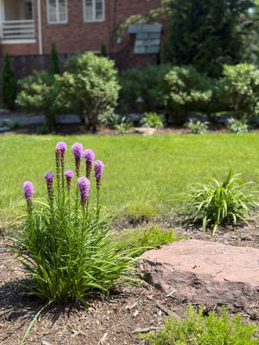 All Photos for Hillside Landscape & Design in Chesterland, OH