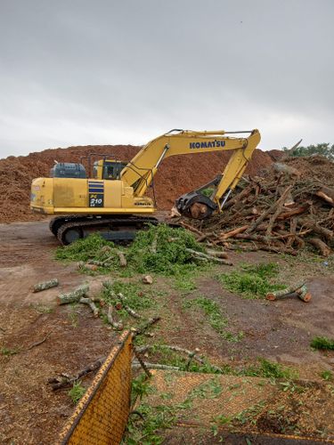 All Photos for A Southern Style Tree Service in Orlando, FL
