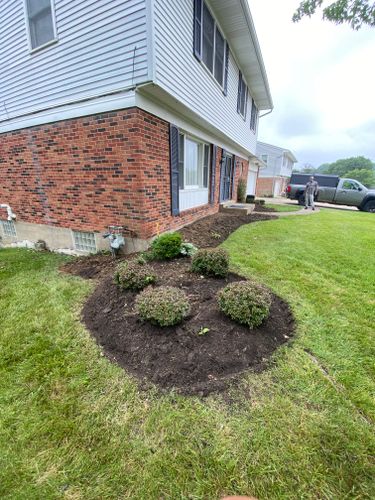 Shrub Trimming for Castle JR Landscaping & Painting LLC in Cincinnati, OH