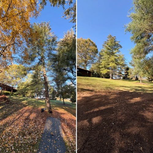  for Anstaetts Tree Service in Batavia, OH