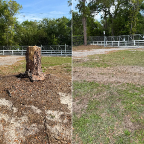  for Greene Acres Stump Grinding in Plant City, FL