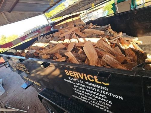 Tree Removal for T's Tree Service and Firewood in Apache Junction, AZ