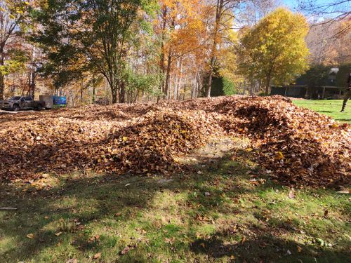 Fall Cleanup for Platas Landscaping & Tree Service in Clyde, NC