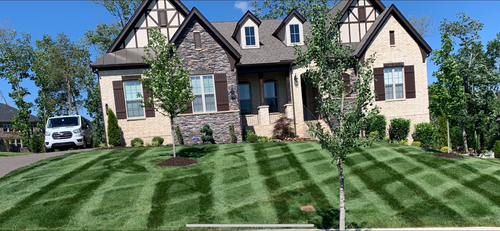 Shrub Trimming for Russell's Lawn Care Plus in Nashville, TN