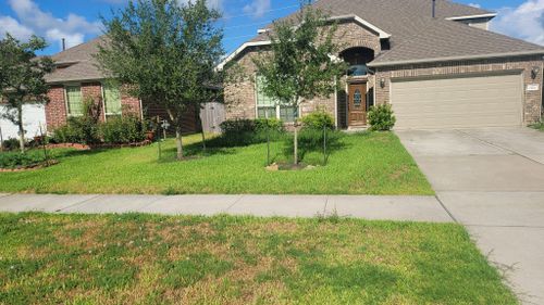 Lawn Care for T.W. Lawn Care in Pearland, TX