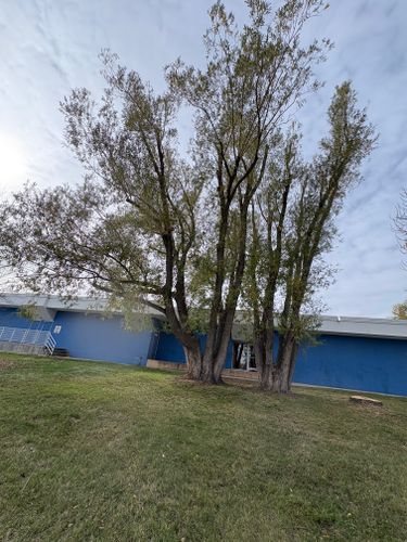  for Elevated Tree Care in Gillette, WY