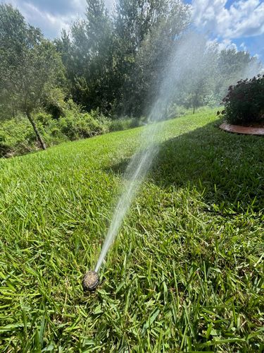 Tree Services for Ludlows Services in Clermont, FL