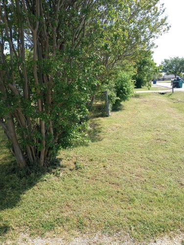 Mowing for Emergency Yard Care LLC in Waxahachie, TX