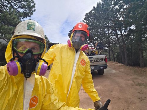 Pest Control for Beetle Busters LLC in Centennial, CO