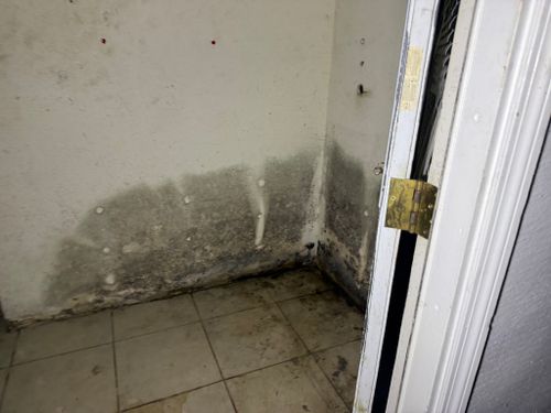  for Surplus Public Adjusters in Miami-Dade County, FL