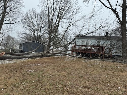 Tree Removal for Empire Tree Services in Mechanicsville, MD