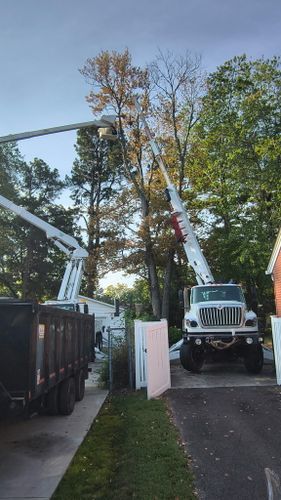 Tree Removal for Lamb Brothers Clearing in Murray, KY