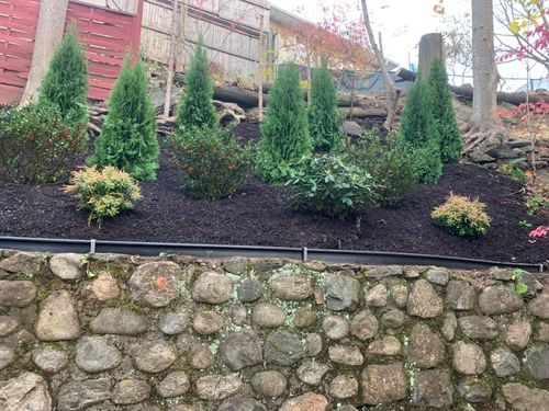 Shrub Trimming for Ovidio's Landscaping in Westchester County, NY