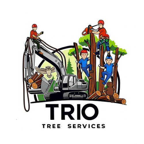 Tree Removal for Trio Tree Services in Ocean Park, WA
