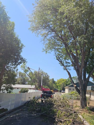 Mulch Installation for Langston Tree & Landscape in Canon City, CO