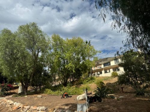 Property Clean Up for The Tree Fairy in Temecula, CA