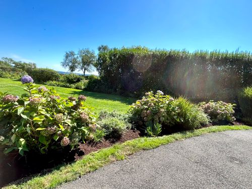  for Jose Gonzalez Landscaping in Stamford, CT