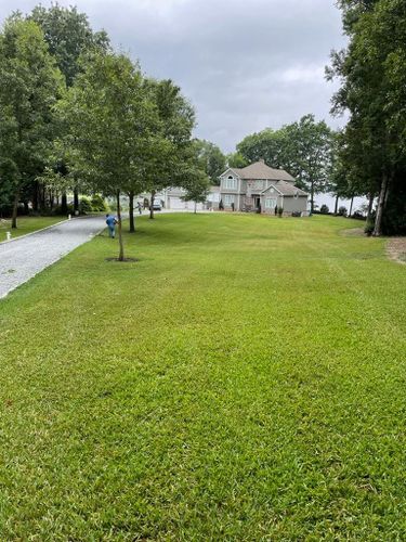 Tree Removal for Rosales Landscaping LLC in Lake Gaston, North Carolina