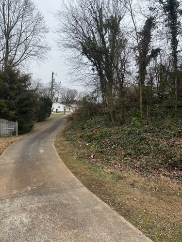  for R&M Property Maintenance in White Pine, TN