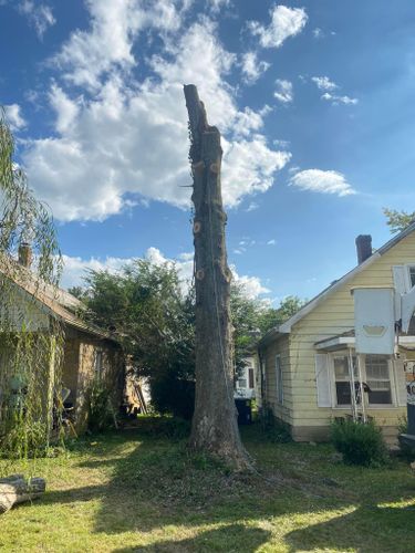 Tree Removal for Atwood’s Tree Care in Liberty,  KY