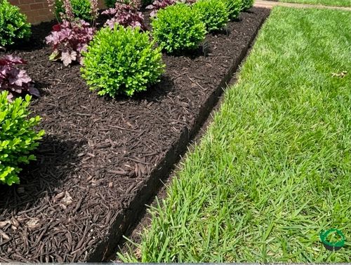 All Photos for Green Brothers Tree Services in Blacksburg, VA