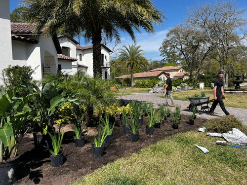 Landscaping for Pro Designs Landscaping LLC in Jacksonville, FL