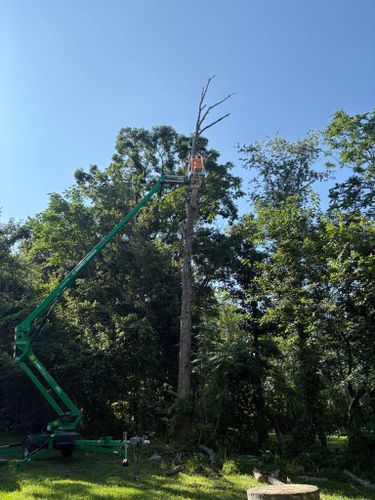  for Mountainside Property Services LLC in Warrenton, VA