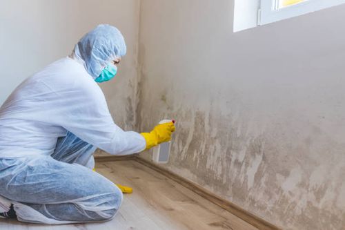 Mold Mitigation & Remediation for New England Water and Mold in Southbury, CT