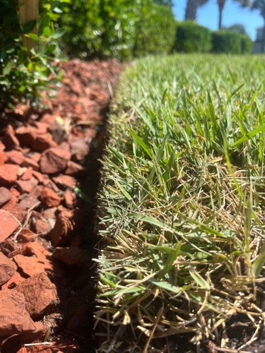 All Photos for New Creation Landscaping in Myrtle Beach, SC