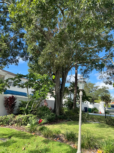  for Broadway Tree Care in Inverness, FL