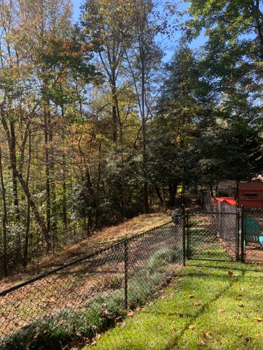 Repairs for Alpine Fence in Dahlonega, GA