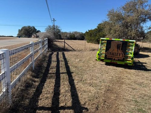 Tree Removal for Oakley’s Stump ‘N Grind in Leander, TX