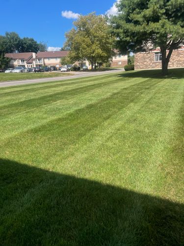Shrub Trimming for Youngstown Landscape and Design in Canfield, OH