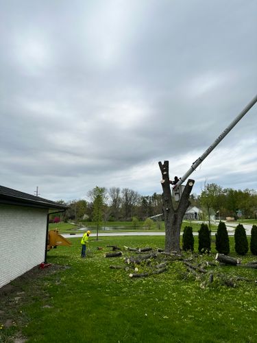 Tree & Stump Grinding Removal for Torres Lawn & Landscaping in Valparaiso, IN