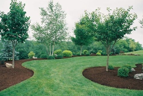 Mulch Installation for Affordable Lawns and Trees in Oklahoma City, OK